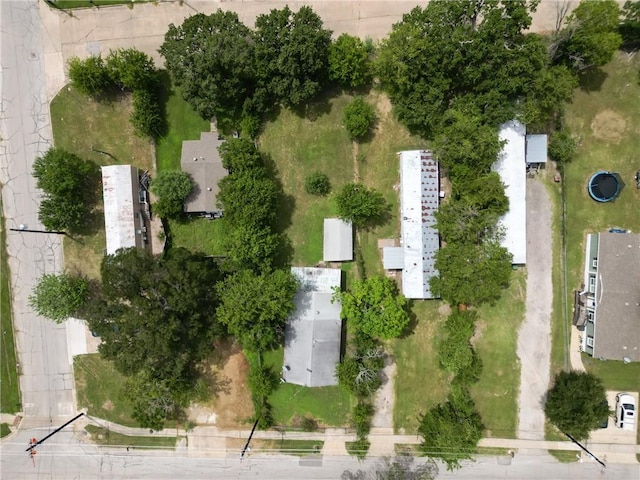 904 Muckleroy St, Bryan, TX 77803 - photo 6