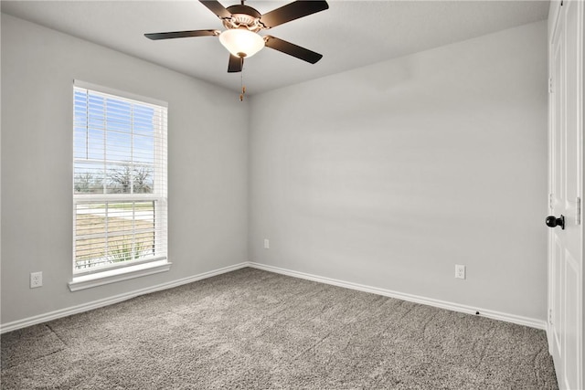 carpeted spare room with ceiling fan and a wealth of natural light