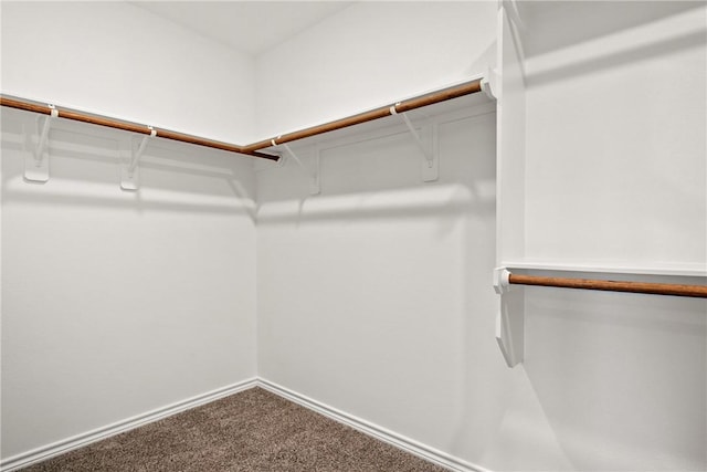 spacious closet with carpet flooring