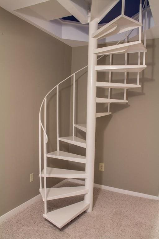 staircase with carpet floors