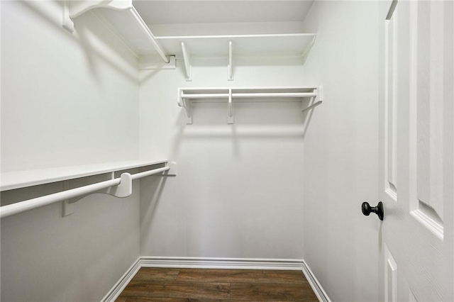 walk in closet with dark hardwood / wood-style floors