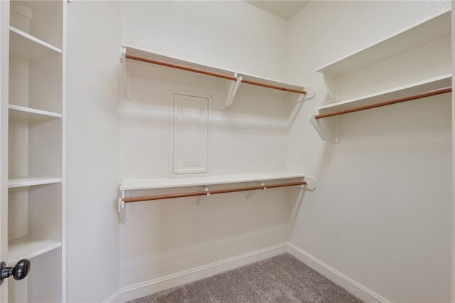 15613 Wood Brook Ln, College Station, TX 77845 - walk in closet with carpet floors