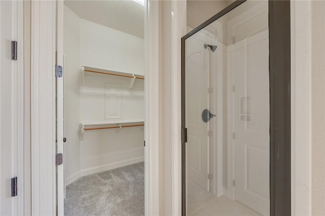 15613 Wood Brook Ln, College Station, TX 77845 - full bathroom with a stall shower and a walk in closet