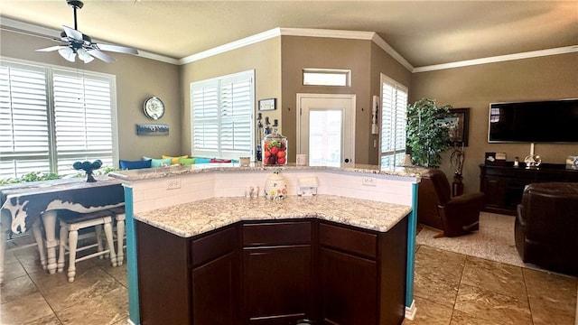 kitchen featuring ceiling fan, a healthy amount of sunlight, and dark brown cabinetry