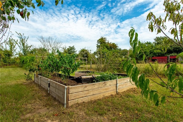 exterior space with a yard