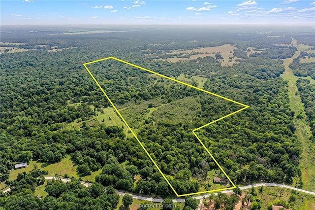 26234 Bedias Dr, Bedias, TX 77831