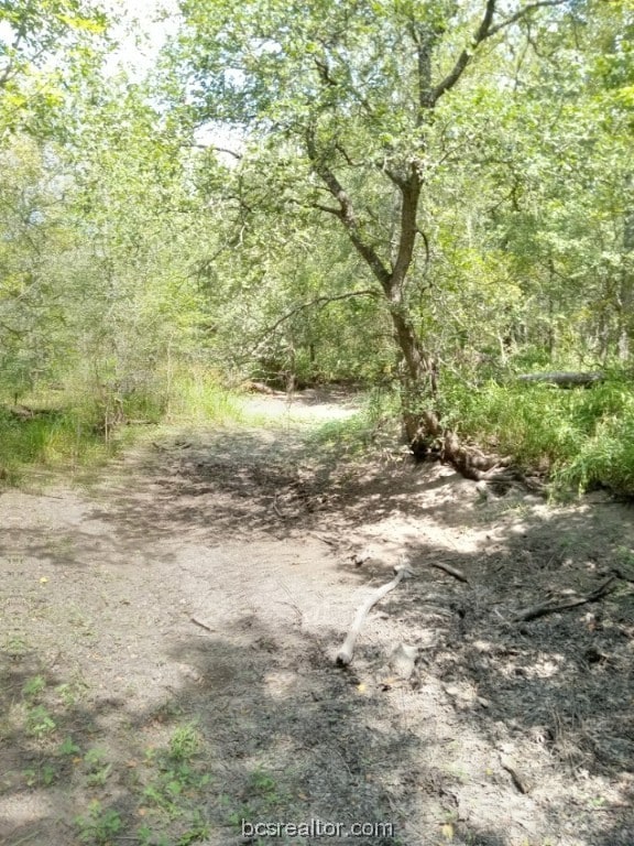 26234 Bedias Dr, Bedias, TX 77831
