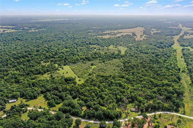 26234 Bedias Dr, Bedias, TX 77831