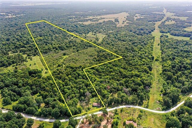 26234 Bedias Dr, Bedias, TX 77831