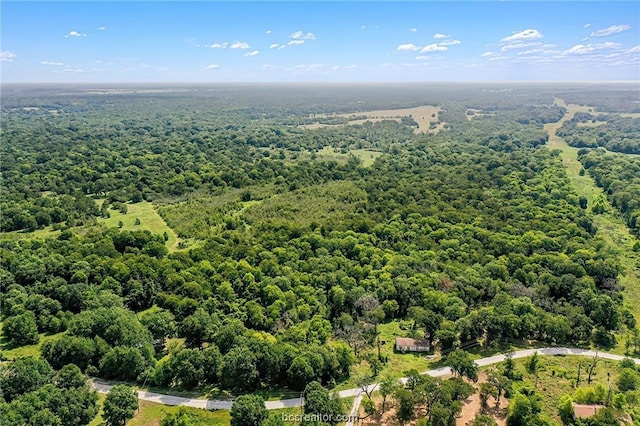 26234 Bedias Dr, Bedias, TX 77831
