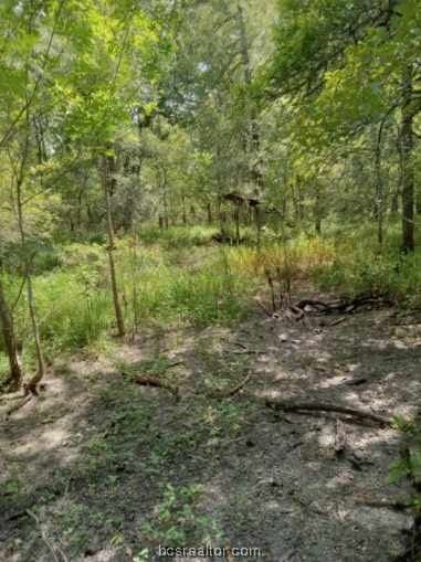 26234 Bedias Dr, Bedias, TX 77831