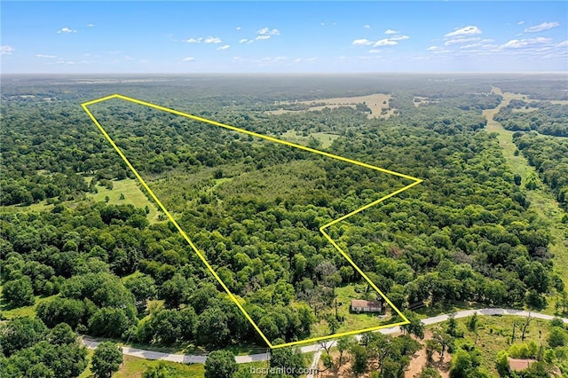 26234 Bedias Dr, Bedias, TX 77831