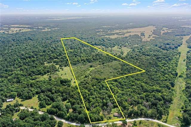 26234 Bedias Dr, Bedias, TX 77831