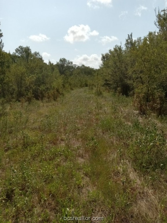 26234 Bedias Dr, Bedias, TX 77831