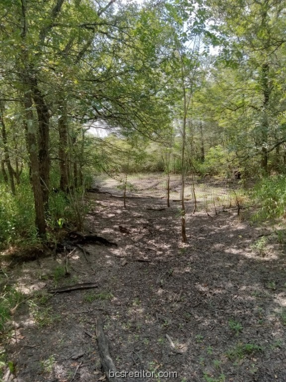26234 Bedias Dr, Bedias, TX 77831