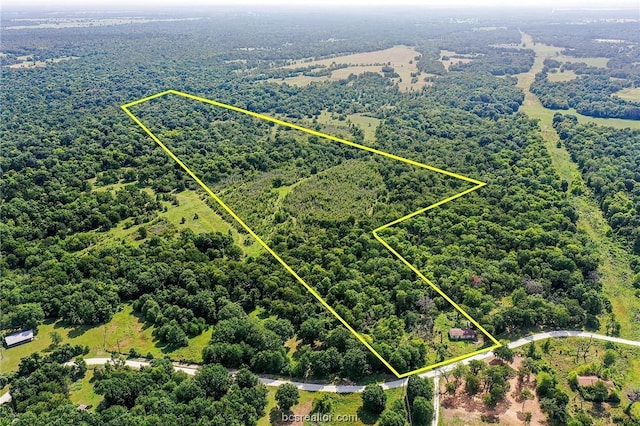 26234 Bedias Dr, Bedias, TX 77831