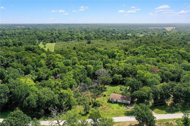 26234 Bedias Dr, Bedias, TX 77831