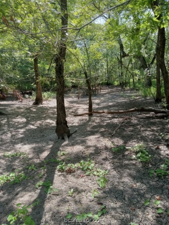 26234 Bedias Dr, Bedias, TX 77831