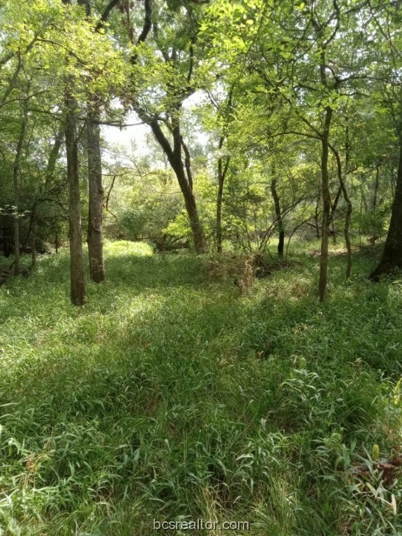 26234 Bedias Dr, Bedias, TX 77831