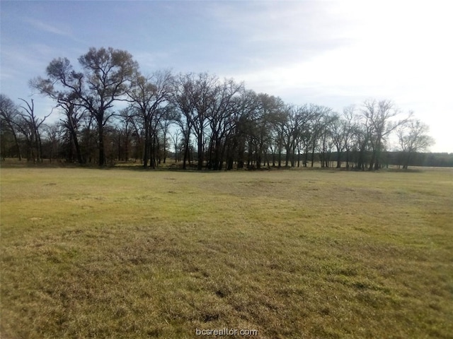 TBD County Road 231, Centerville TX, 75833 land for sale