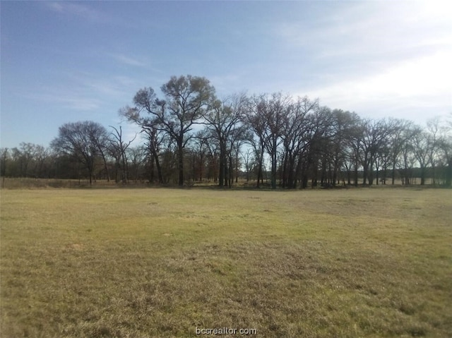 Listing photo 2 for TBD County Road 231, Centerville TX 75833