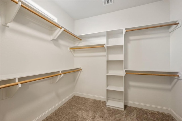 walk in closet featuring carpet floors