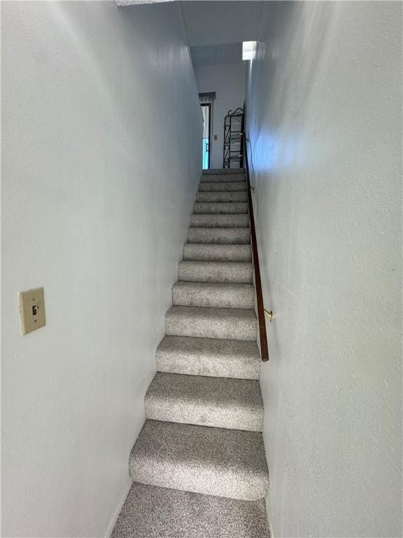 staircase with carpet