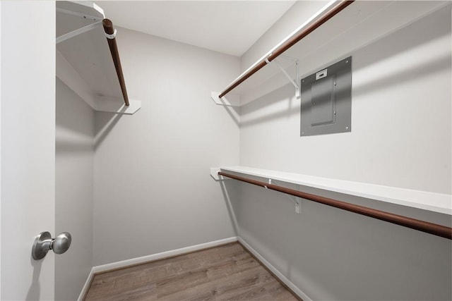 walk in closet featuring electric panel and light hardwood / wood-style floors