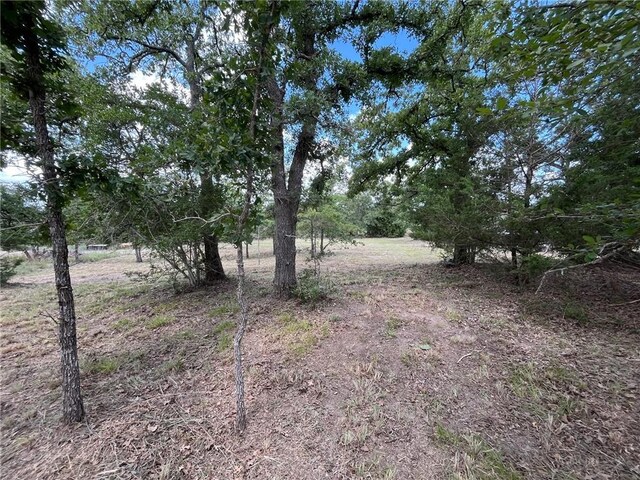 TBDLOT33 Apache Dr N, Somerville, TX 77879 - photo 4