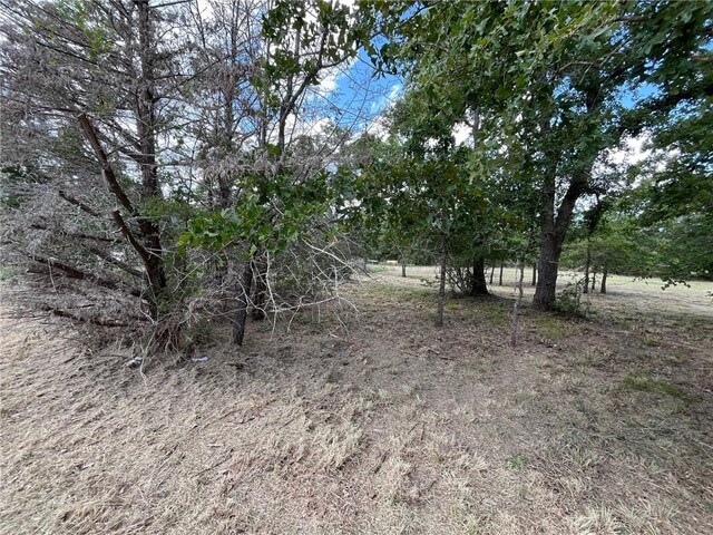 TBDLOT33 Apache Dr N, Somerville, TX 77879 - photo 3