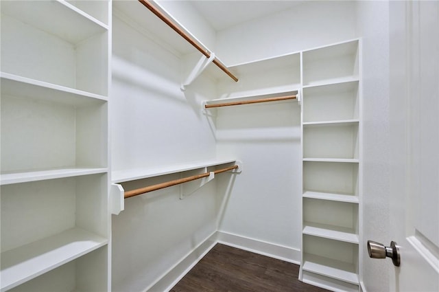 walk in closet with dark hardwood / wood-style floors