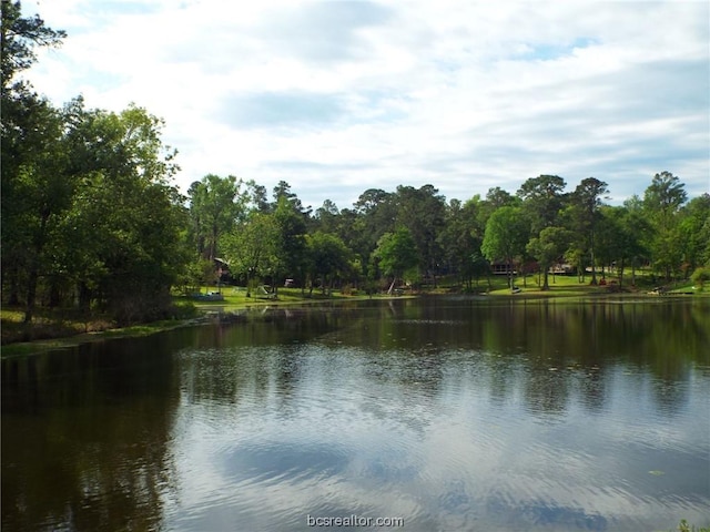 LOT34 Dogwood Dr, Huntsville, TX 77320 - photo 12
