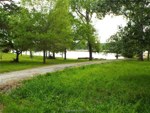 LOT34 Dogwood Dr, Huntsville, TX 77320 - photo 6
