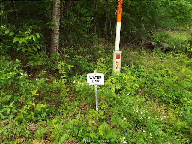 LOT34 Dogwood Dr, Huntsville, TX 77320 - photo 15