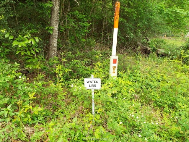 LOT34 Dogwood Dr, Huntsville, TX 77320 - photo 4