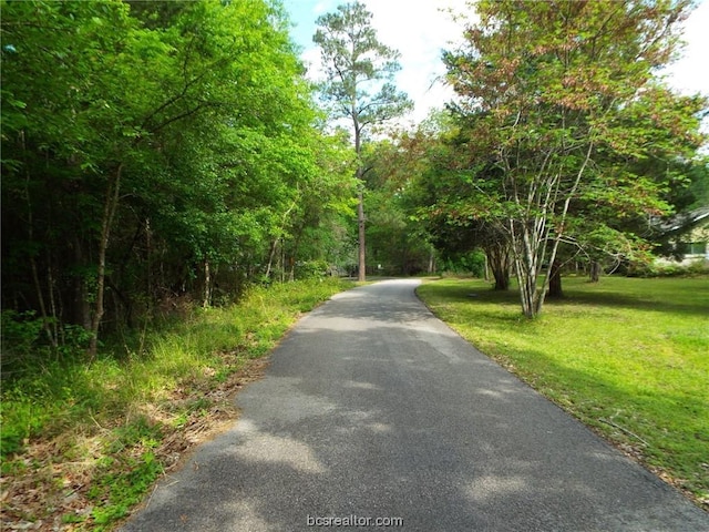 LOT34 Dogwood Dr, Huntsville, TX 77320 - photo 22