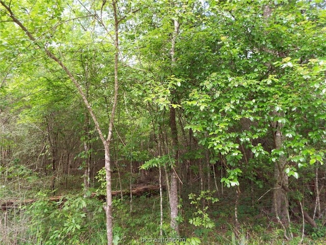 LOT34 Dogwood Dr, Huntsville, TX 77320 - photo 19