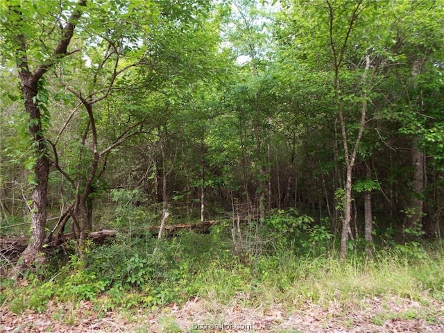 LOT34 Dogwood Dr, Huntsville, TX 77320 - photo 20
