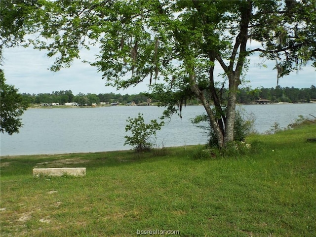 LOT34 Dogwood Dr, Huntsville, TX 77320 - photo 9