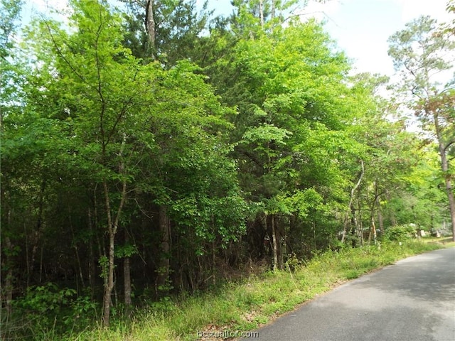 LOT34 Dogwood Dr, Huntsville, TX 77320 - photo 21