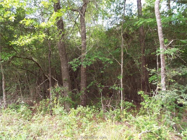 LOT34 Dogwood Dr, Huntsville, TX 77320 - photo 17