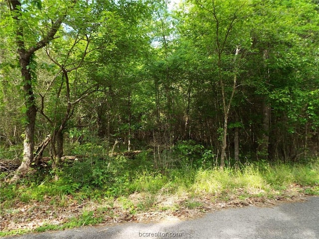 Listing photo 2 for LOT34 Dogwood Dr, Huntsville TX 77320