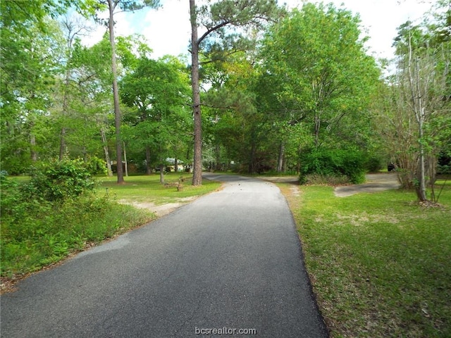 LOT34 Dogwood Dr, Huntsville, TX 77320 - photo 13
