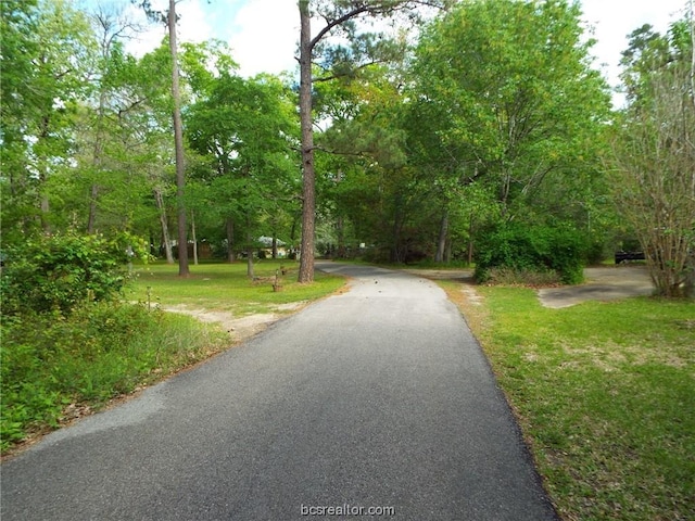 LOT34 Dogwood Dr, Huntsville, TX 77320 - photo 14