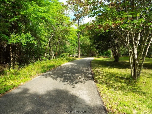 LOT34 Dogwood Dr, Huntsville, TX 77320 - photo 3