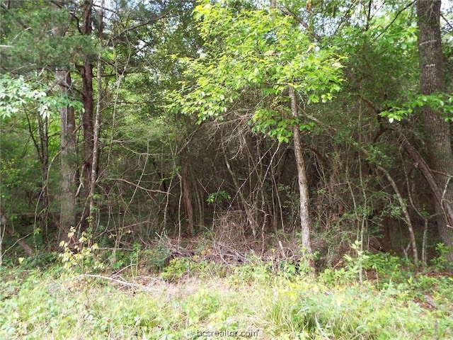 LOT34 Dogwood Dr, Huntsville, TX 77320 - photo 18