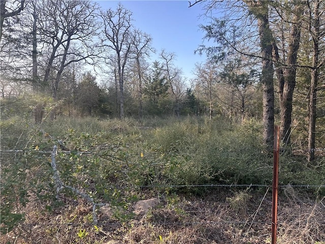 5ACRES County Road 462, Somerville, TX 77879 - photo 1