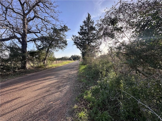 5ACRES County Road 462, Somerville, TX 77879 - photo 2
