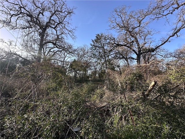 5ACRES County Road 462, Somerville, TX 77879 - photo 4