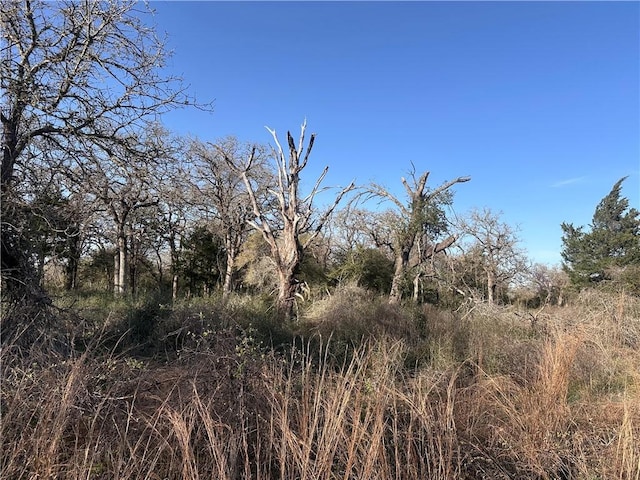 5ACRES County Road 462, Somerville, TX 77879 - photo 3